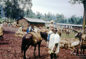 Slajde Etiopia 2 2021 M